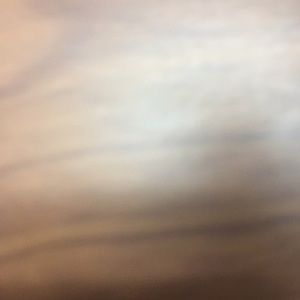 Meet your Posher, Harry